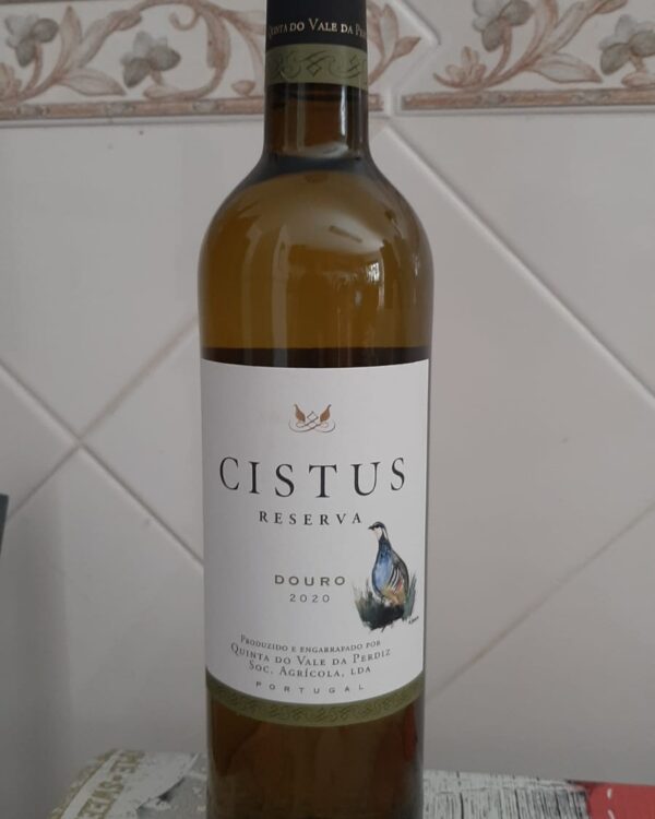 Cintus Branco
