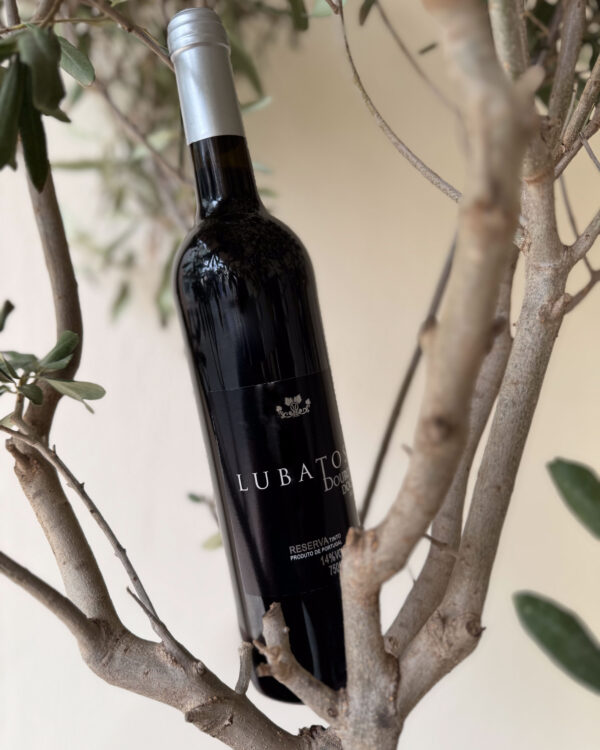 Lubatos Douro DOC Tinto Reserva